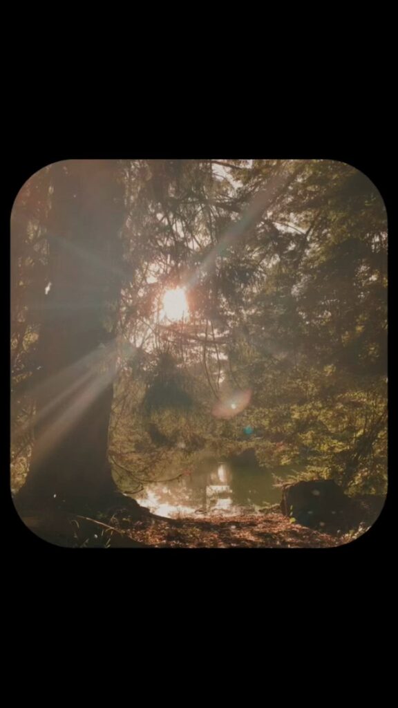 CapCut template for reels